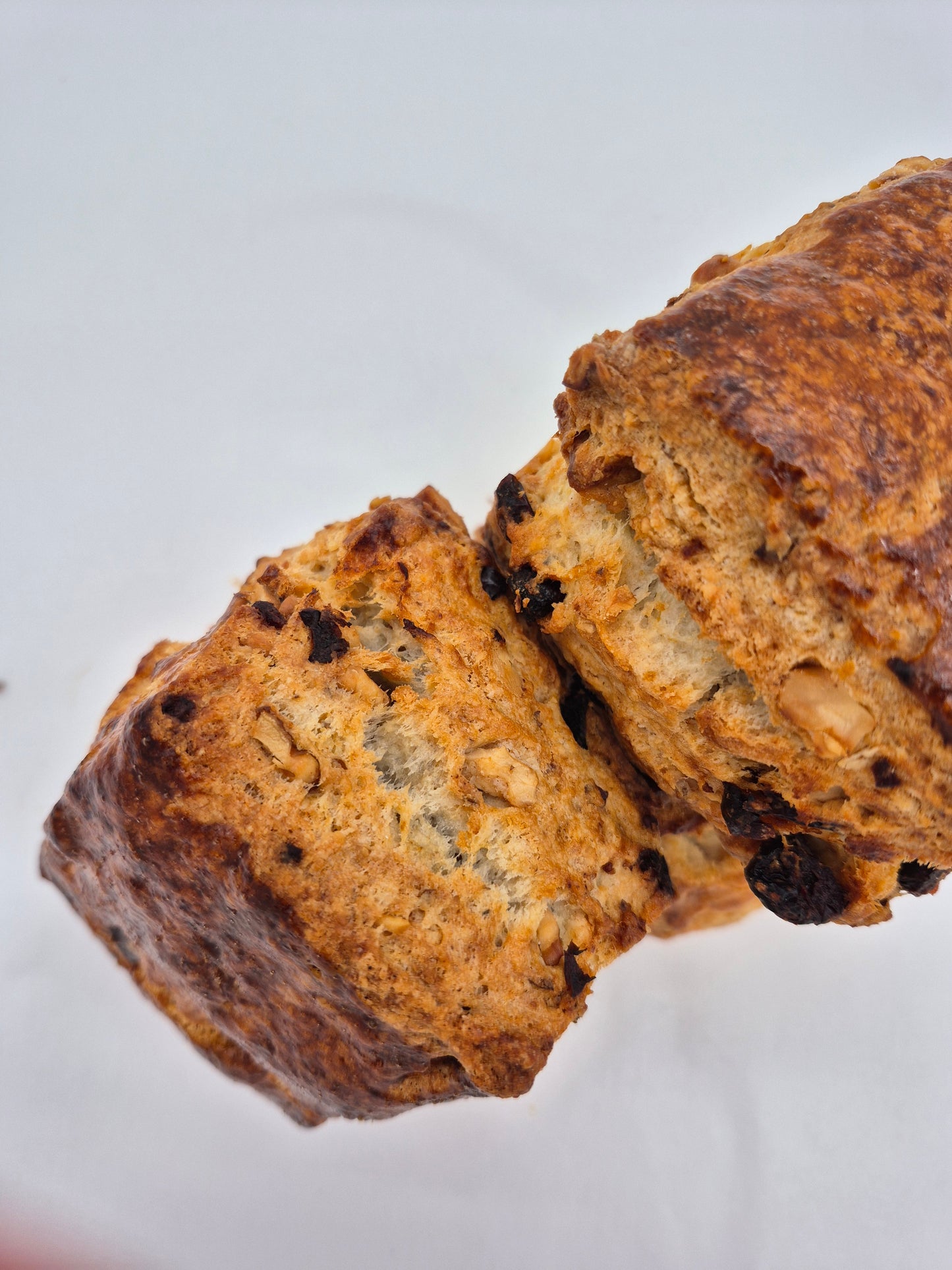 Walnut Cranberry Scone ( box of 6 )